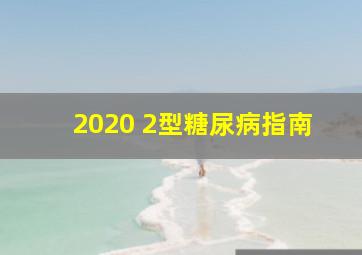 2020 2型糖尿病指南